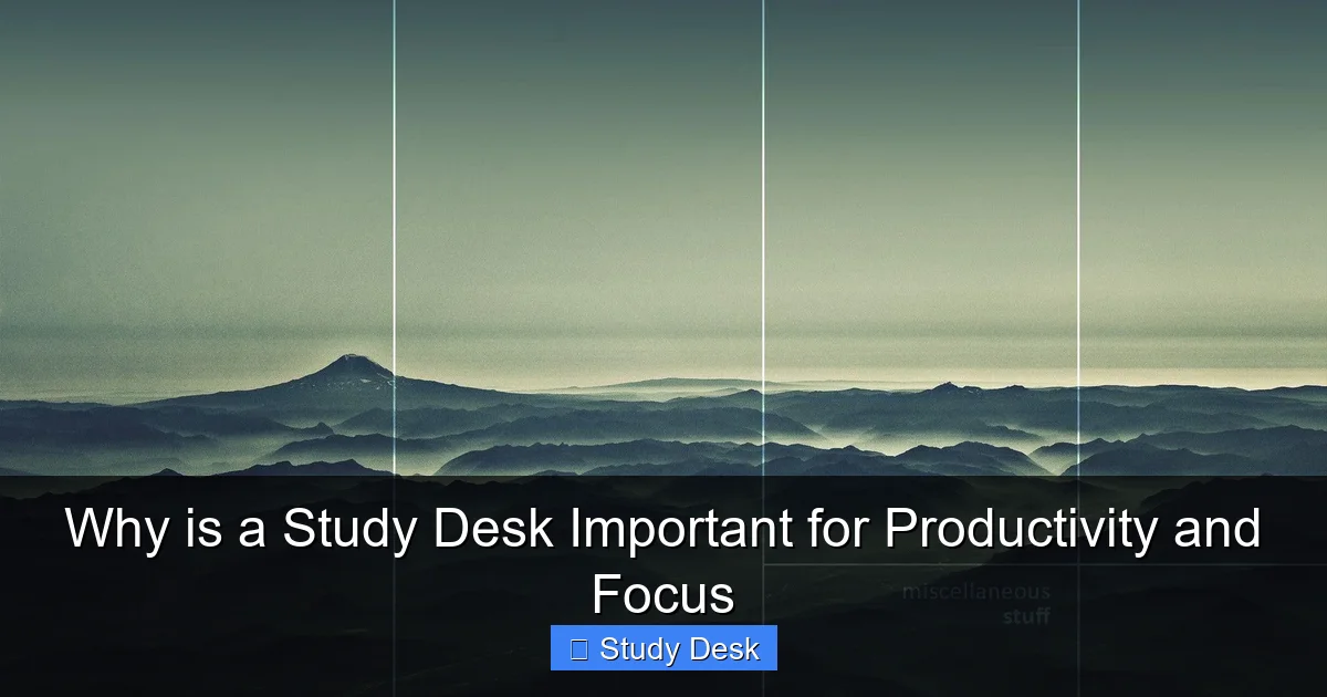 Why is a Study Desk Important for Productivity and Focus